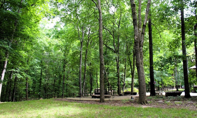 view of yard featuring a view of trees