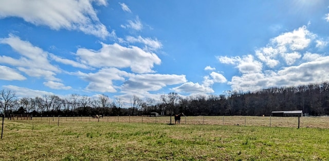 view of yard with a rural view and a wooded view