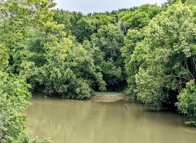 view of water feature with a view of trees