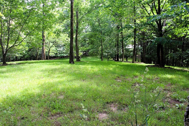 view of yard with a wooded view