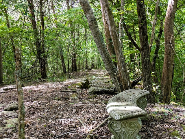 view of local wilderness featuring a view of trees