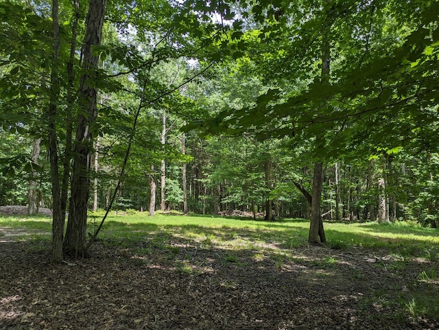 view of local wilderness featuring a wooded view