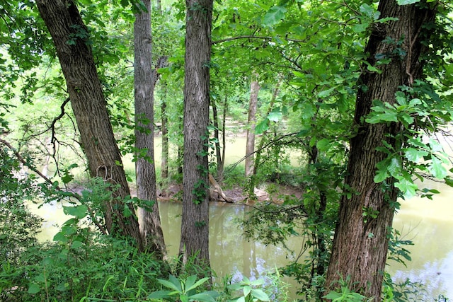 view of nature featuring a water view