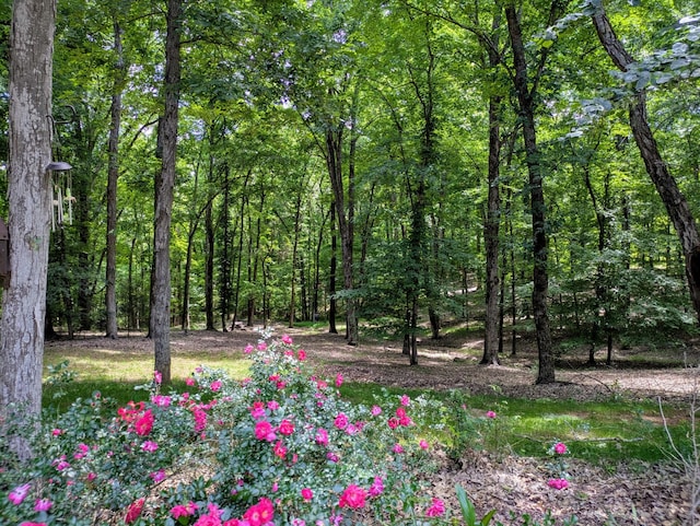 3425 Hopkins Bridge Rd, Unionville, TN 37180 - photo 78