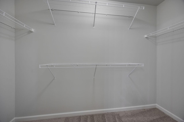 147 Macy Dr, Hendersonville, TN 37075 - photo 46
