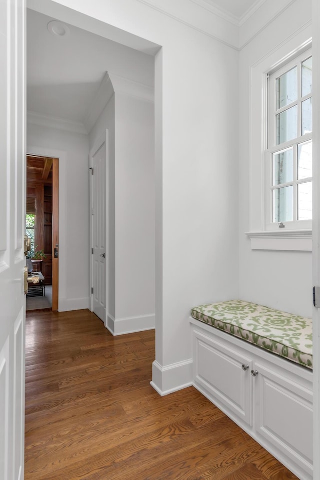 hallway with plenty of natural light, baseboards, ornamental molding, and wood finished floors