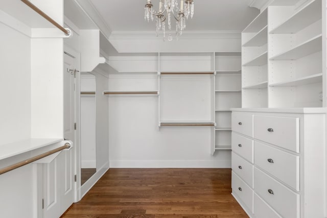 spacious closet featuring an inviting chandelier and dark wood finished floors