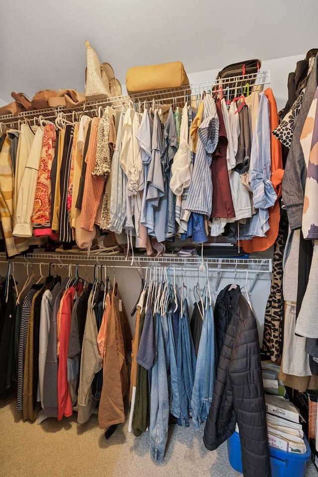 405 Waterbrook Dr, Mount Juliet, TN 37122 - spacious closet with carpet floors
