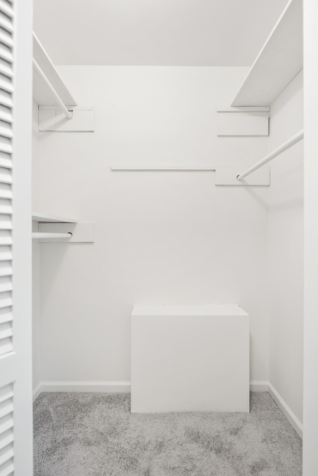spacious closet with carpet floors