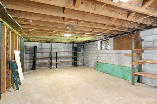 unfinished below grade area with electric panel