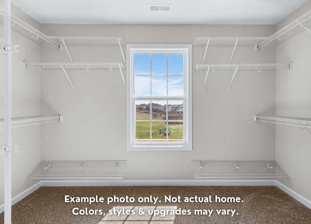 1305 Gentry Dr, Clarksville, TN 37043 - photo 21