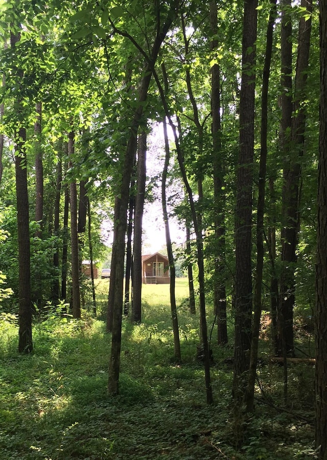 5735 Railroad St, Williston, TN 38076 - view of nature