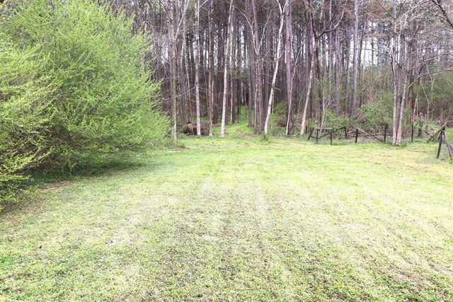 5735 Railroad St, Williston, TN 38076 - view of grassy yard with a wooded view