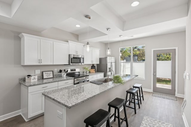 kitchen with stainless steel appliances, baseboards, a sink, and a raised ceiling