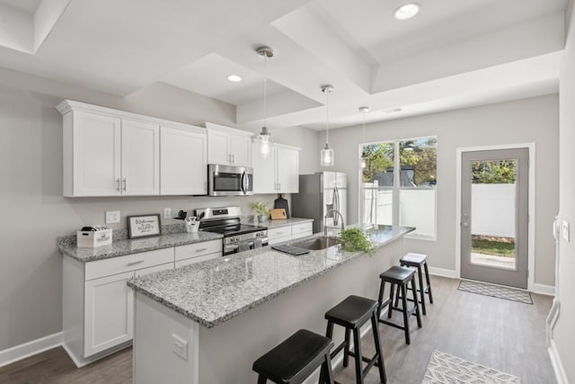 kitchen featuring stainless steel appliances, baseboards, a sink, and a raised ceiling