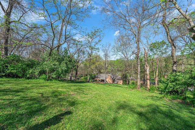 6112 Frontier Ct, Nashville, TN 37211 - view of yard with a forest view