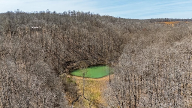 283 Dyestone Springs Rd, Hohenwald, TN 38462 - bird's eye view of a large body of water and a heavily wooded area