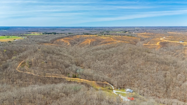 283 Dyestone Springs Rd, Hohenwald, TN 38462 - drone / aerial view