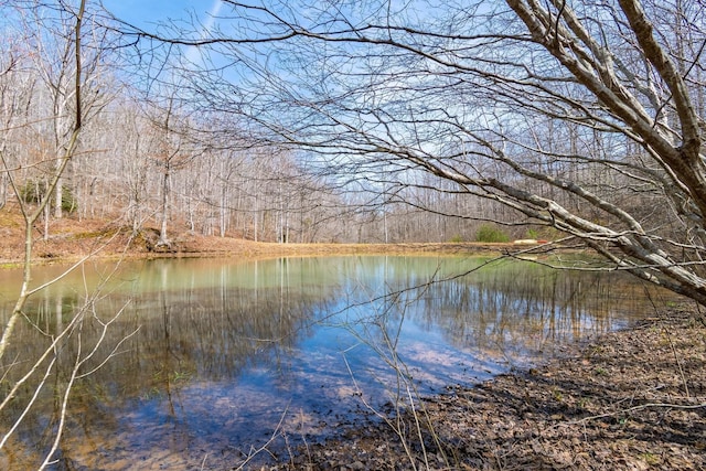 283 Dyestone Springs Rd, Hohenwald, TN 38462 - water view featuring a heavily wooded area