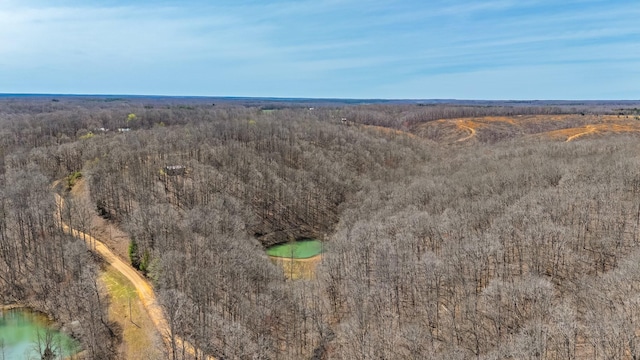 283 Dyestone Springs Rd, Hohenwald, TN 38462 - drone / aerial view of a heavily wooded area