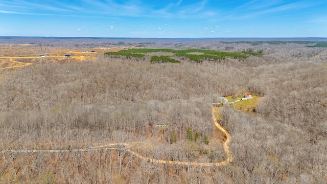 283 Dyestone Springs Rd, Hohenwald, TN 38462 - aerial view of sparsely populated area
