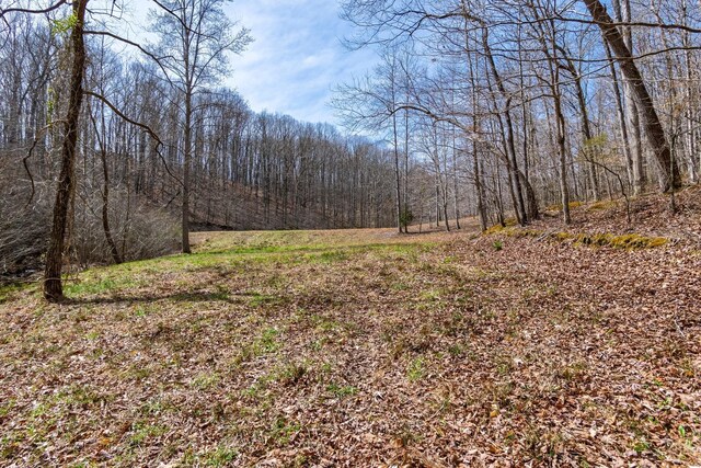 283 Dyestone Springs Rd, Hohenwald, TN 38462 - view of tree filled area