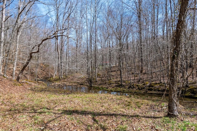 283 Dyestone Springs Rd, Hohenwald, TN 38462 - view of local wilderness