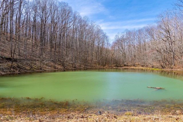 283 Dyestone Springs Rd, Hohenwald, TN 38462 - water view