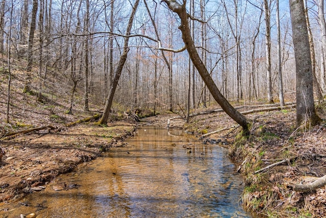 283 Dyestone Springs Rd, Hohenwald, TN 38462 - water view