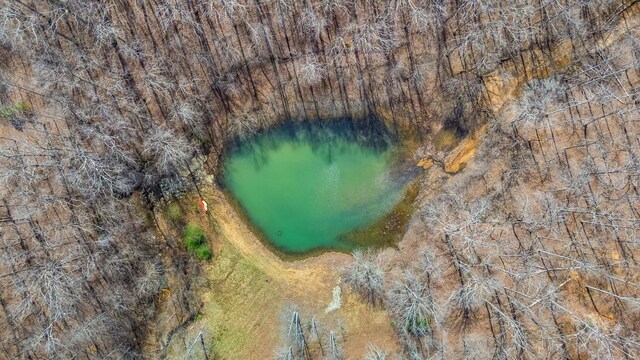 283 Dyestone Springs Rd, Hohenwald, TN 38462 - view of property location