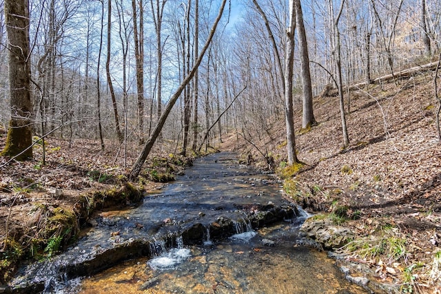283 Dyestone Springs Rd, Hohenwald, TN 38462 - view of yard