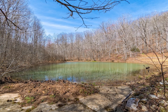 283 Dyestone Springs Rd, Hohenwald, TN 38462 - water view featuring a forest