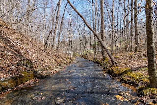 283 Dyestone Springs Rd, Hohenwald, TN 38462 - view of road