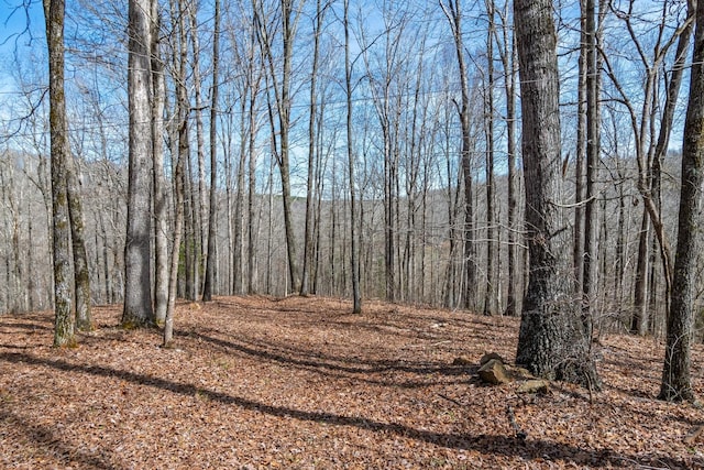 283 Dyestone Springs Rd, Hohenwald, TN 38462 - view of tree filled area