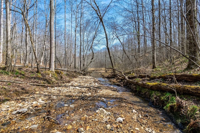 283 Dyestone Springs Rd, Hohenwald, TN 38462 - view of local wilderness