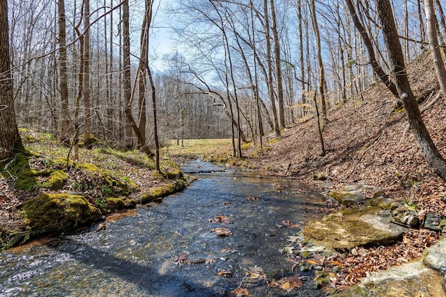283 Dyestone Springs Rd, Hohenwald, TN 38462 - view of street