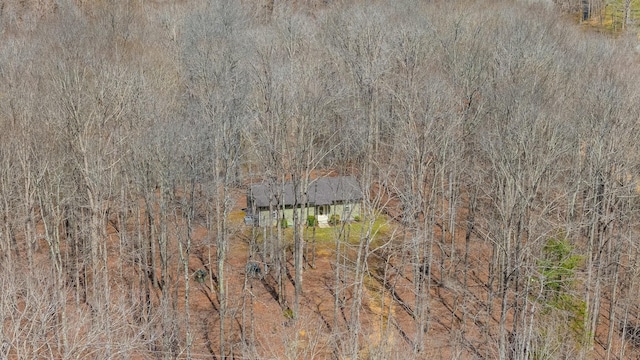 283 Dyestone Springs Rd, Hohenwald, TN 38462 - view of property location