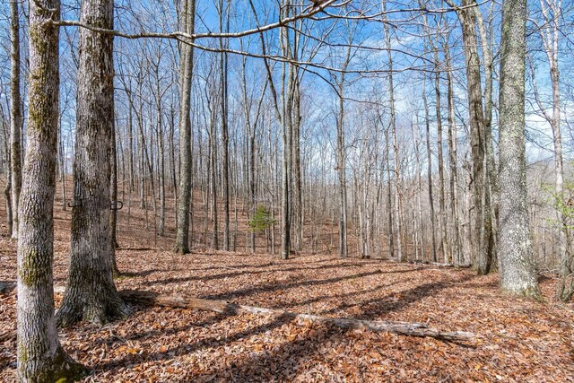283 Dyestone Springs Rd, Hohenwald, TN 38462 - view of tree filled area