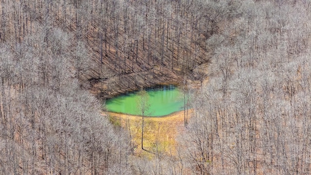 283 Dyestone Springs Rd, Hohenwald, TN 38462 - bird's eye view of a large body of water