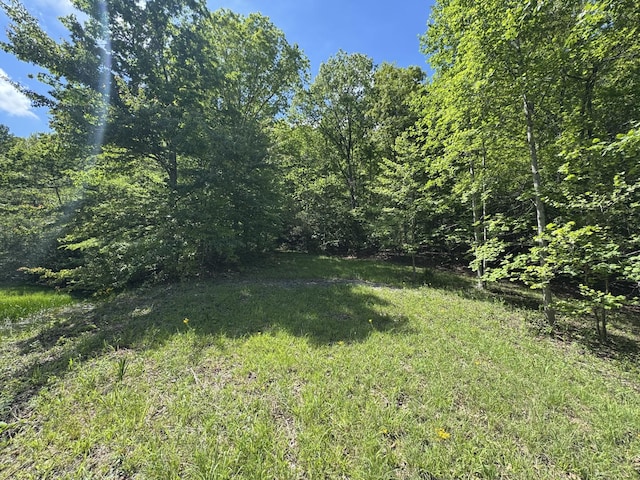 283 Dyestone Springs Rd, Hohenwald, TN 38462 - view of green lawn with a wooded view