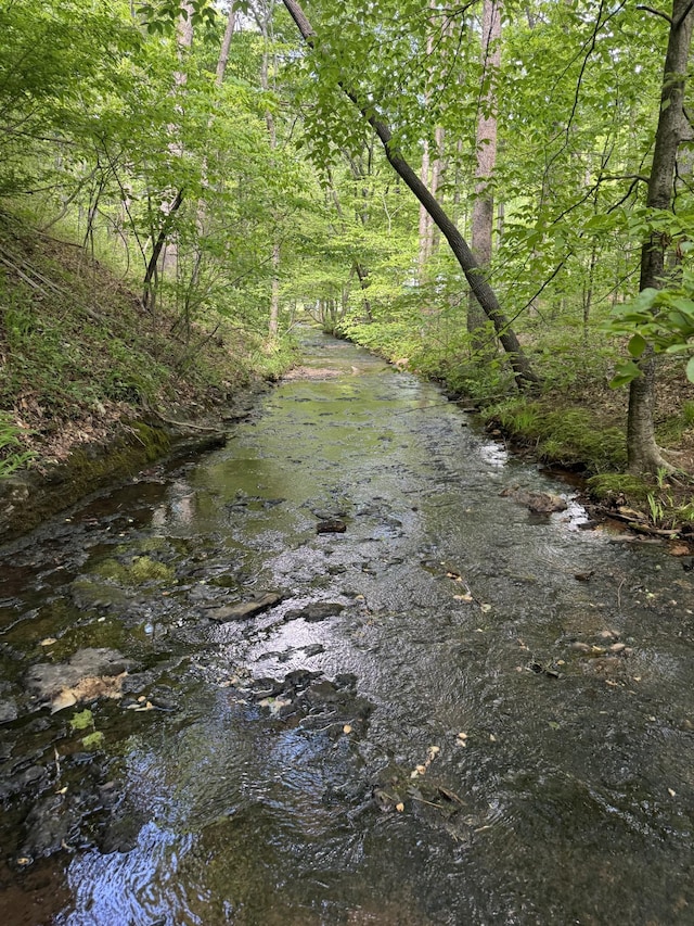 283 Dyestone Springs Rd, Hohenwald, TN 38462 - view of woods