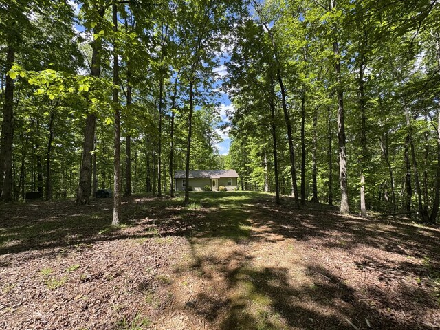 283 Dyestone Springs Rd, Hohenwald, TN 38462 - view of yard with a forest view