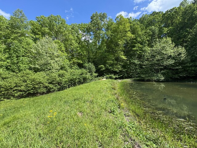 283 Dyestone Springs Rd, Hohenwald, TN 38462 - view of yard with a water view and a view of trees