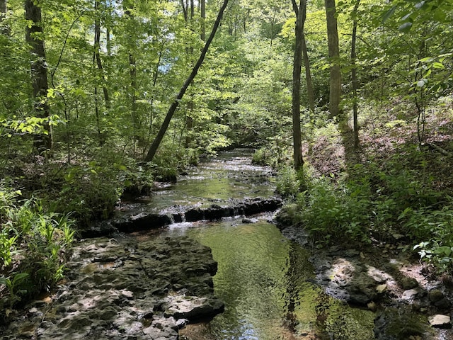 283 Dyestone Springs Rd, Hohenwald, TN 38462 - view of woods