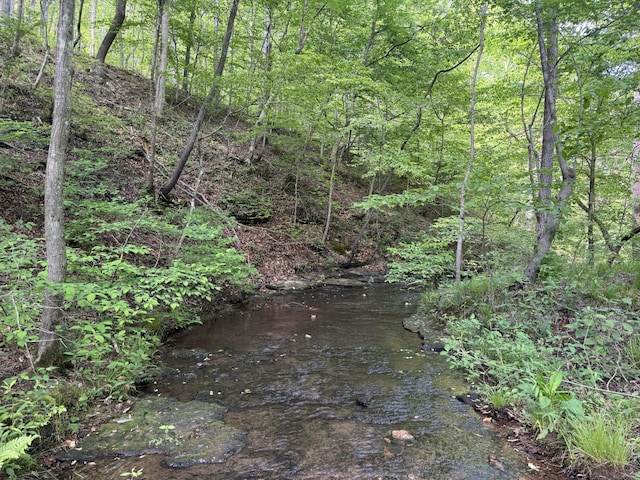 283 Dyestone Springs Rd, Hohenwald, TN 38462 - view of woods