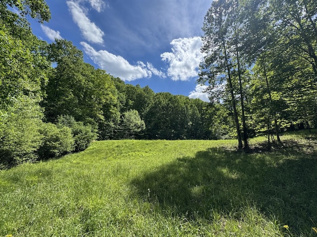 283 Dyestone Springs Rd, Hohenwald, TN 38462 - view of woods