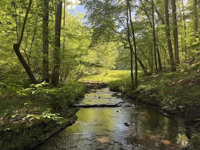 283 Dyestone Springs Rd, Hohenwald, TN 38462 - water view