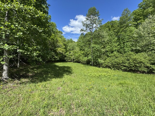 283 Dyestone Springs Rd, Hohenwald, TN 38462 - view of yard with a forest view
