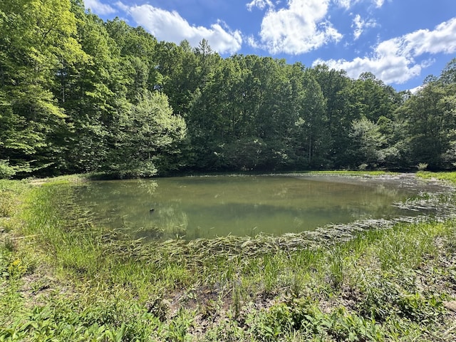 283 Dyestone Springs Rd, Hohenwald, TN 38462 - water view featuring a forest