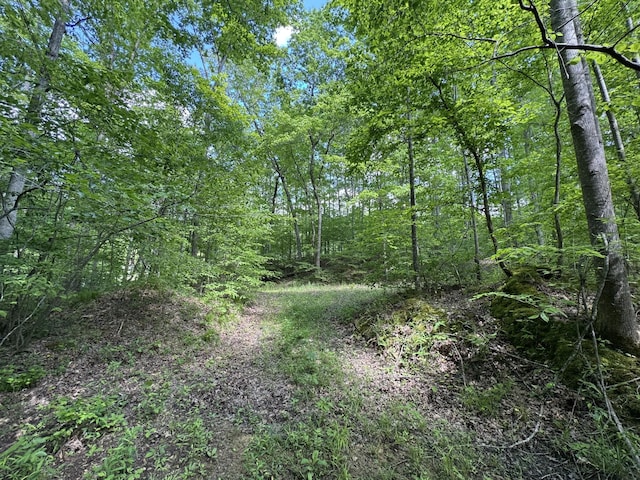 283 Dyestone Springs Rd, Hohenwald, TN 38462 - view of woods